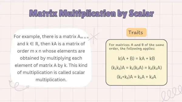 Matrix Multiplication Operations and Examples | Mathematics