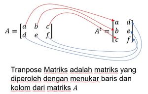 Matrix: Transpose and Similarity of Matrices | Mathematics ...